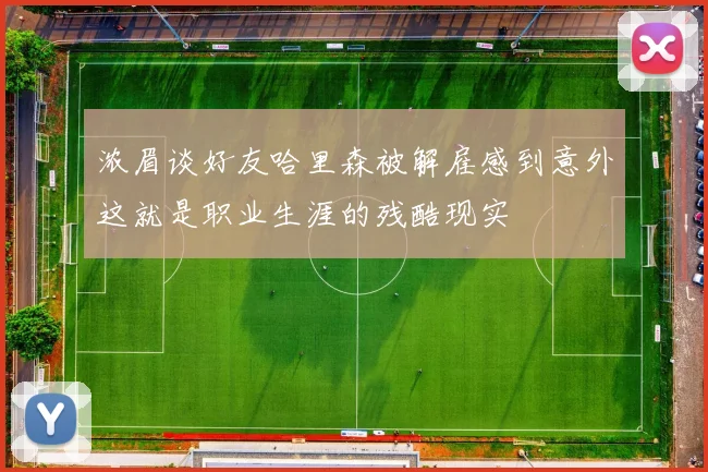浓眉谈好友哈里森被解雇感到意外这就是职业生涯的残酷现实