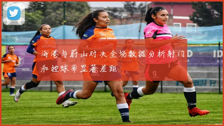 海港与蔚山对决全场数据分析射门和控球率显著差距