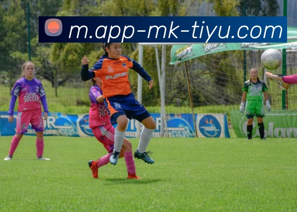 MK体育APP 高清赛事图